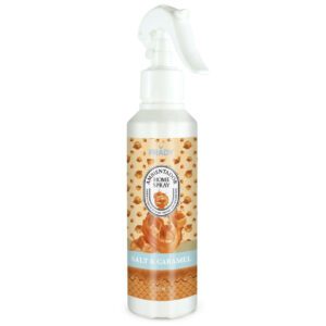 Prady home spray salt caramel