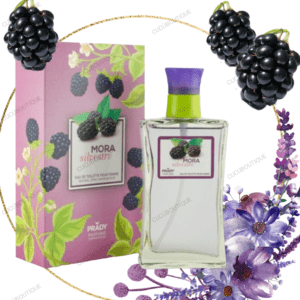 Perfumes PRADY en formato desde 90Ml creados pensando en  las mejores fragancias del mercado a un buen precio .
